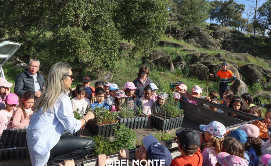 Belmonte