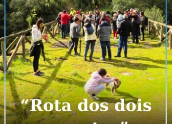 Sertã