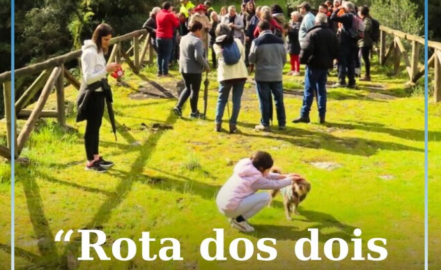 Sertã