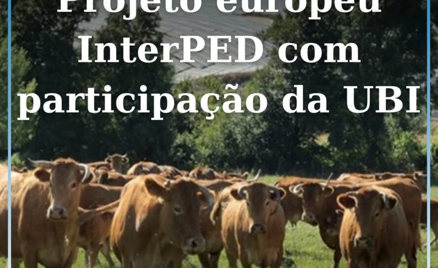 Covilhã