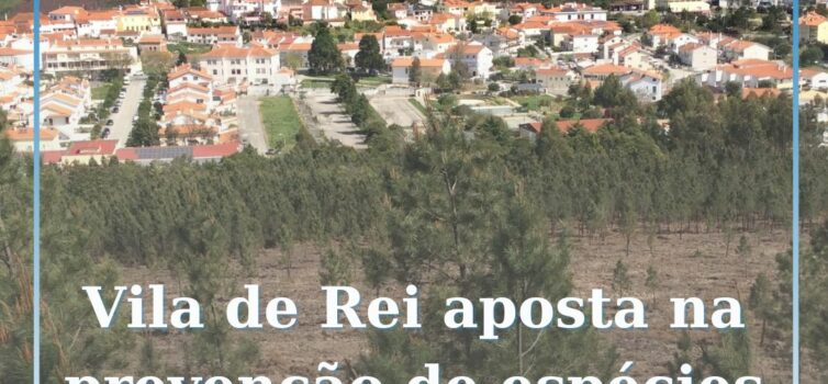 Vila de Rei