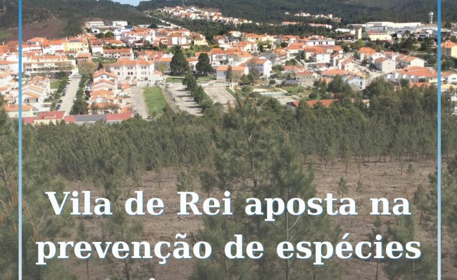 Vila de Rei