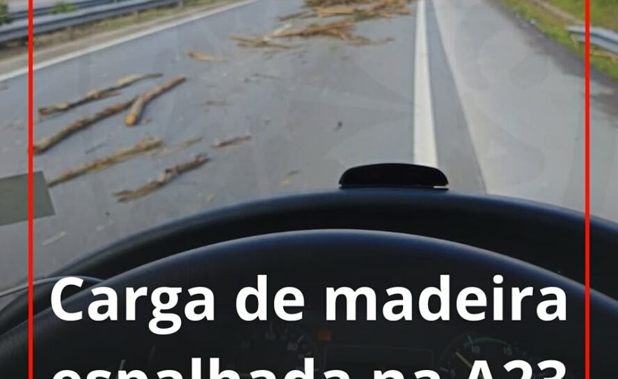 Carga de madeira espalhada na A23