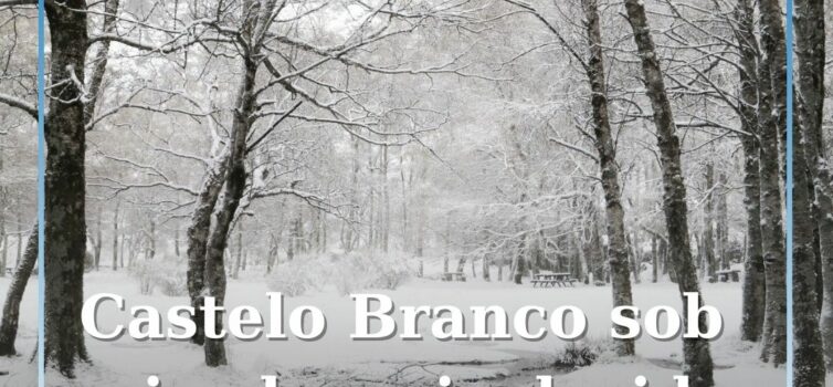 Castelo Branco sob aviso laranja devido à queda de neve