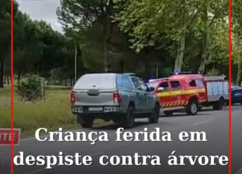 Criança de 2 anos ferida em despiste contra árvore em Ponte de Sor