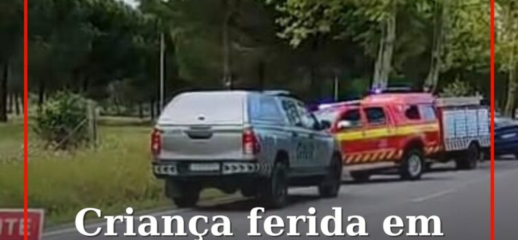 Criança de 2 anos ferida em despiste contra árvore em Ponte de Sor