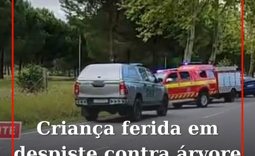 Criança de 2 anos ferida em despiste contra árvore em Ponte de Sor