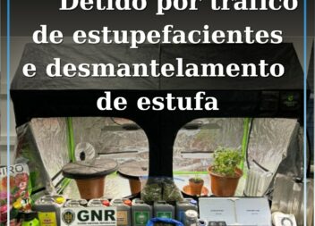 Detido por tráfico de estupefacientes e desmantelamento de estufa