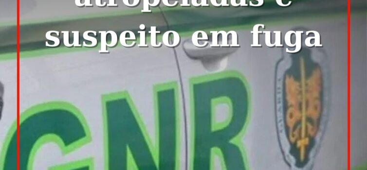 GNR Encontra Viatura Suspeita de Atropelamento