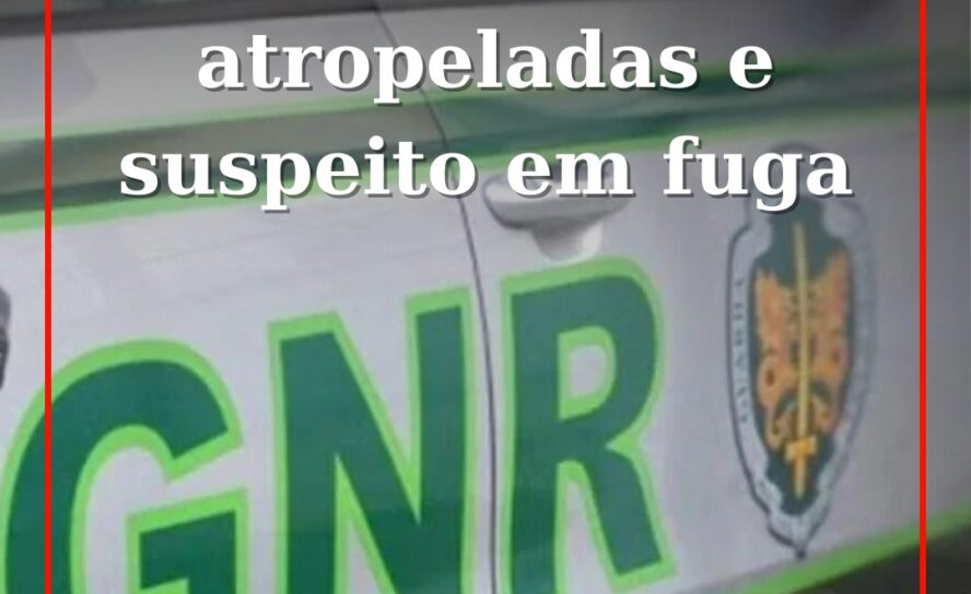 GNR Encontra Viatura Suspeita de Atropelamento