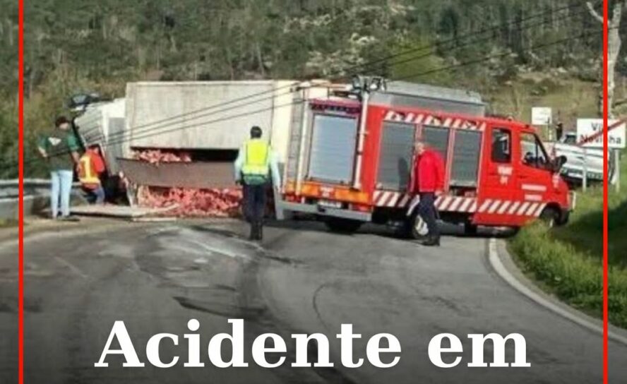 Guarda