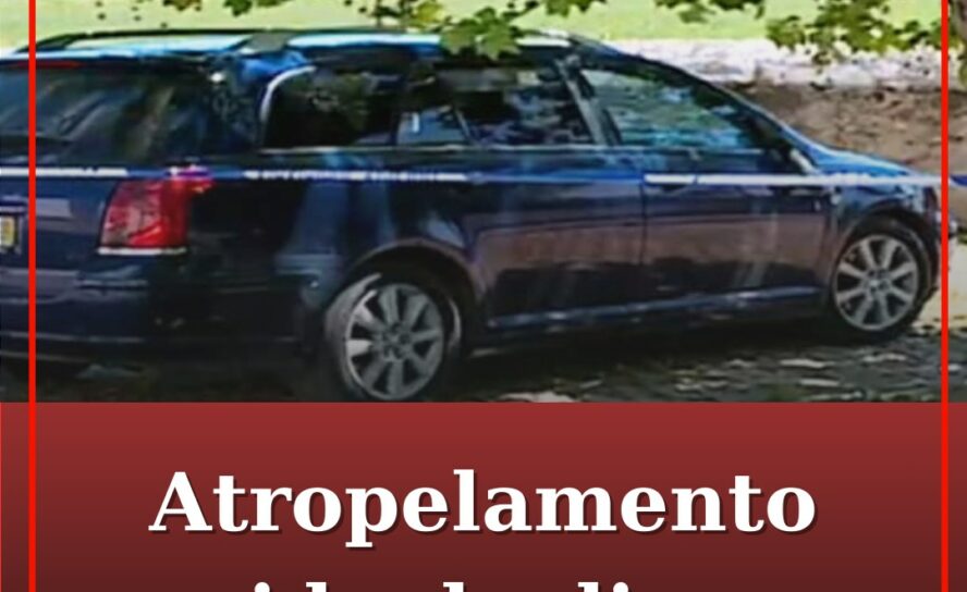 Homem ferido atirou em carro que o atropelou em Alter do Chão. PJ procura condut