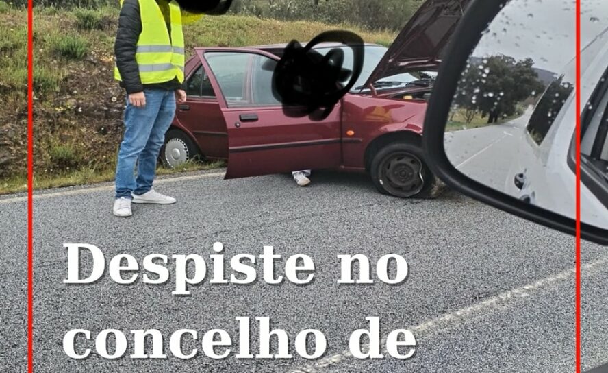 Jovens feridos em despiste na EN233