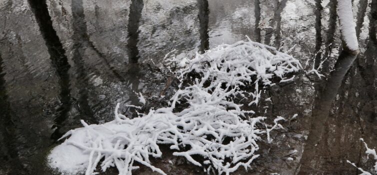 Neve Cai na Serra da Estrela e Fecha Acessos ao Maciço Central
