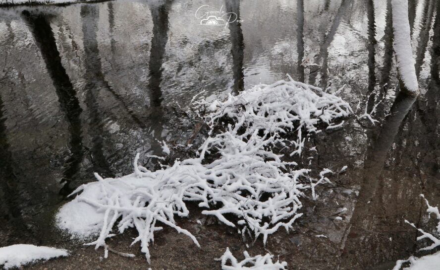 Neve Cai na Serra da Estrela e Fecha Acessos ao Maciço Central