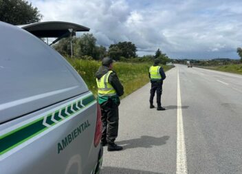 Operação Resina combate dispersão de praga florestal em Castelo Branco