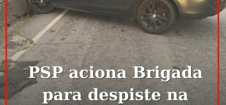 PSP aciona Brigada para despiste na Covilhã