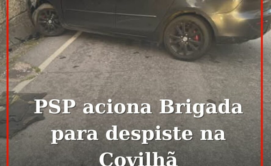 PSP aciona Brigada para despiste na Covilhã
