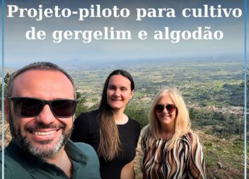 Projeto-piloto para cultivo de gergelim e algodão