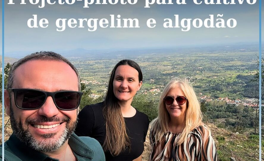 Projeto-piloto para cultivo de gergelim e algodão