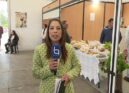 EM DIRETO: BEIRA BAIXA TV