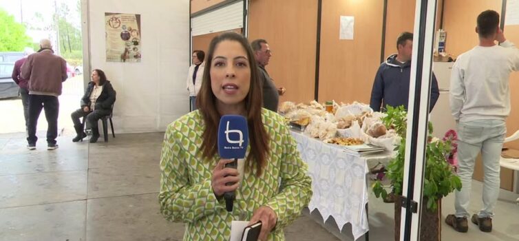 EM DIRETO: BEIRA BAIXA TV