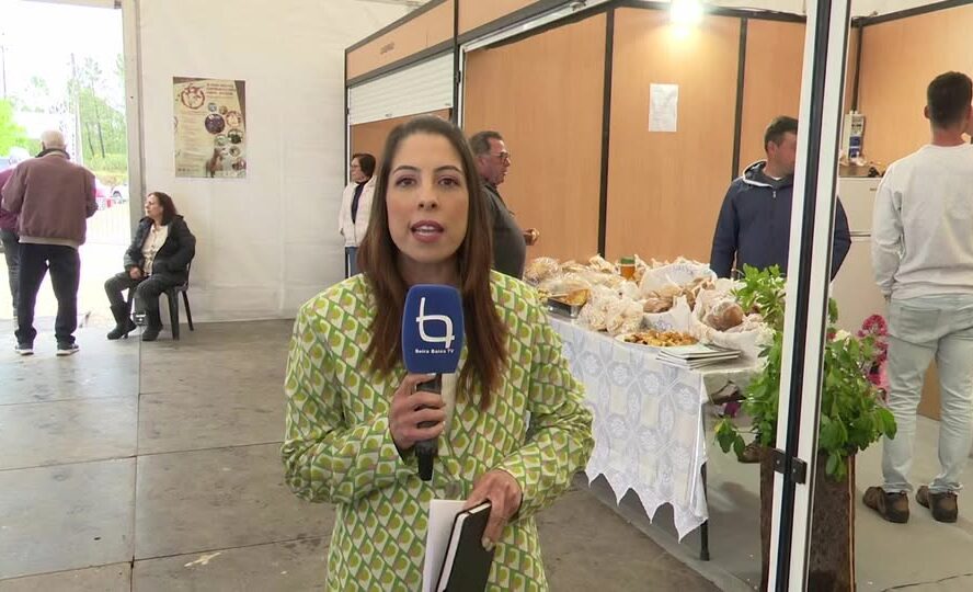 EM DIRETO: BEIRA BAIXA TV