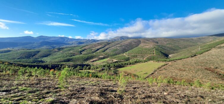 Covilhã