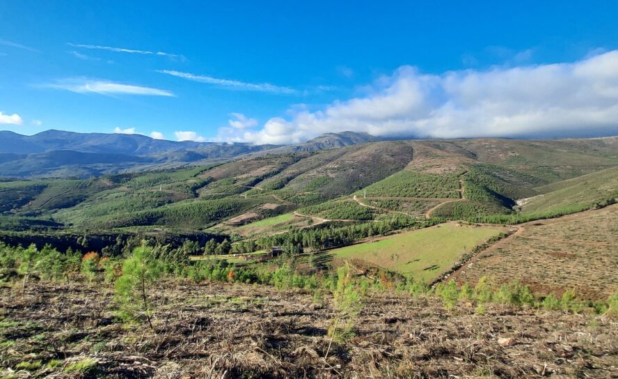 Covilhã