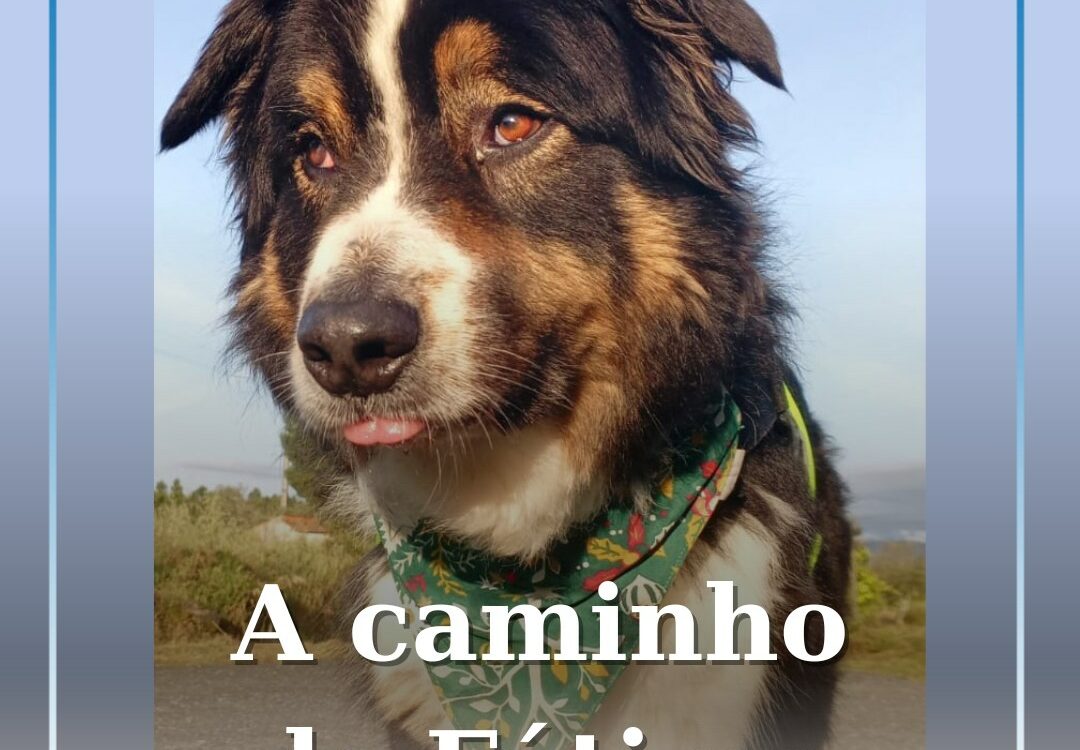 Nos Caminhos da fé