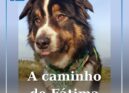 Nos Caminhos da fé