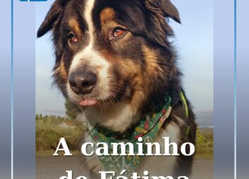 Nos Caminhos da fé