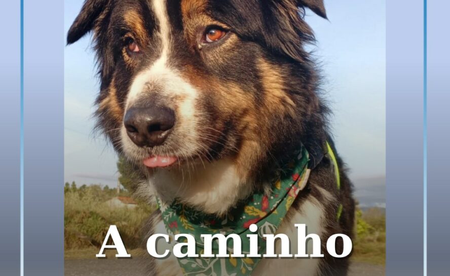 Nos Caminhos da fé