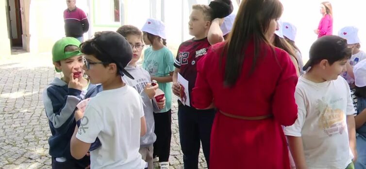 EM DIRETO: BEIRA BAIXA TV