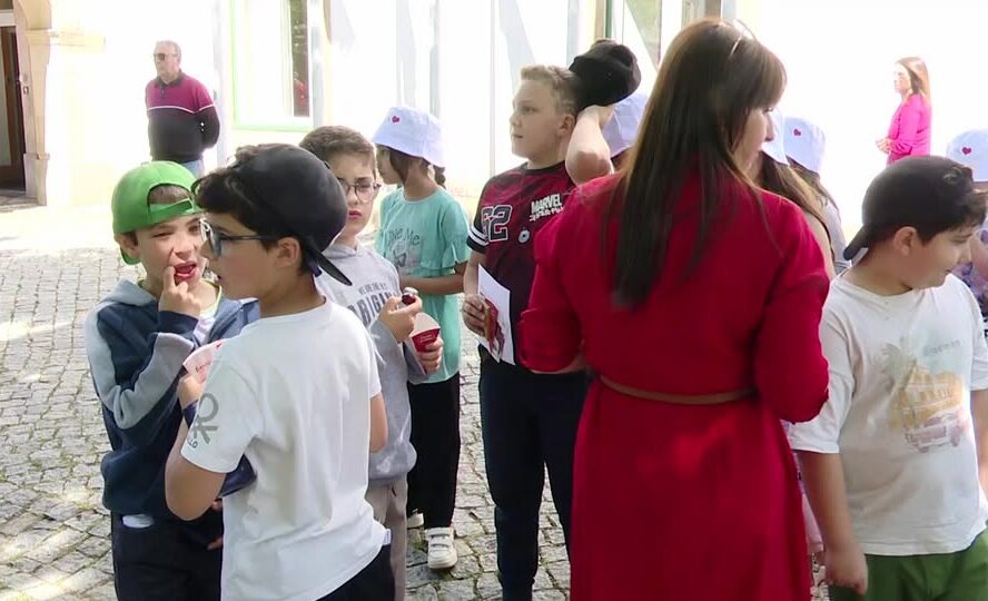 EM DIRETO: BEIRA BAIXA TV
