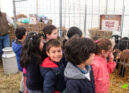 Alunos do 1º e 2º anos do AE de Proença-a-Nova visitam III Feira Mostra de Capri