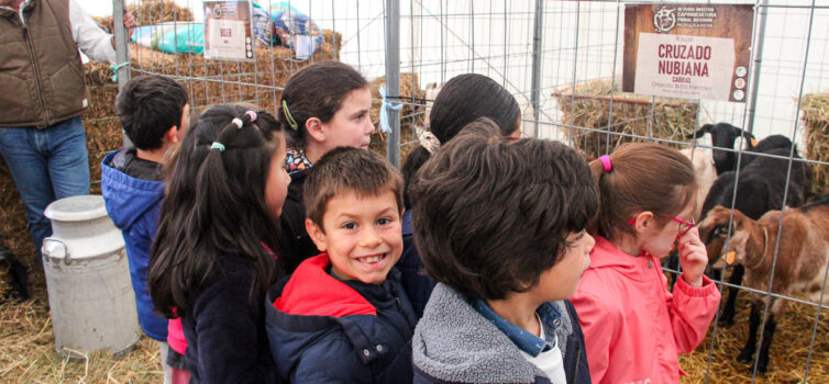 Alunos do 1º e 2º anos do AE de Proença-a-Nova visitam III Feira Mostra de Capri