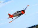 Beiras Air Show 2025: três dias de emoção, cultura e aventura no céu de Castelo