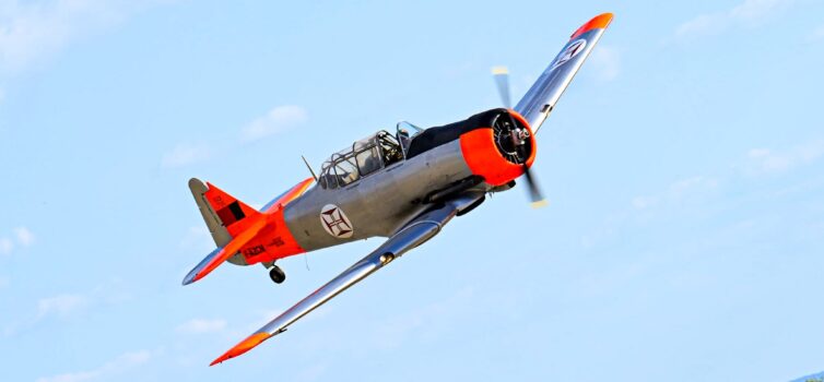 Beiras Air Show 2025: três dias de emoção