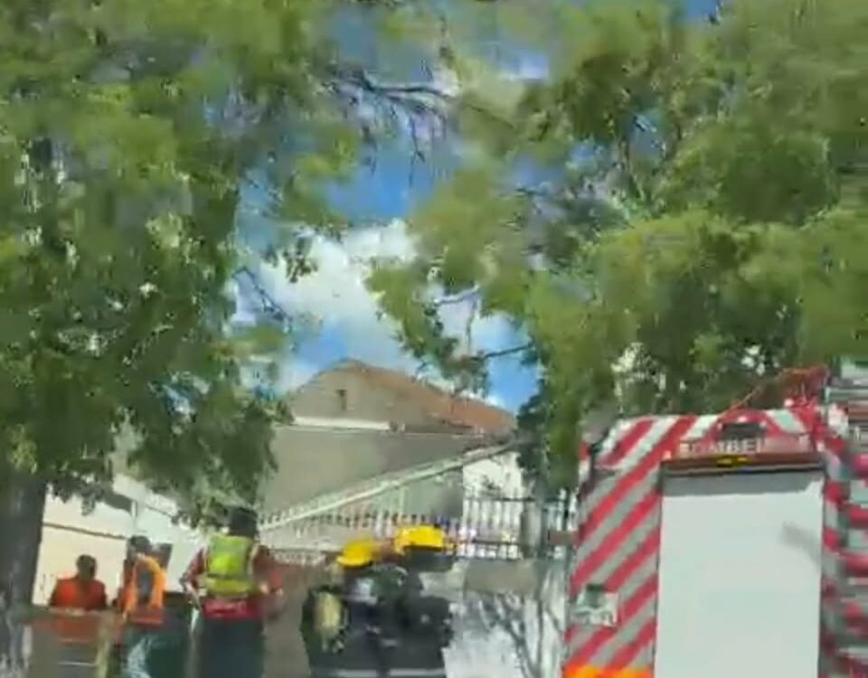 Bombeiros de Castelo Branco realizam exercício