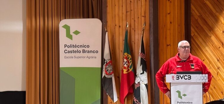 Castelo Branco acolhe workshop sobre riscos de incêndios em sistemas fotovoltaic