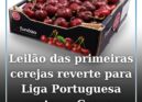 Cereja do Fundão vai a leilão dia 20 maio