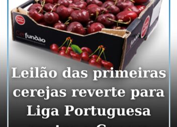 Cereja do Fundão vai a leilão dia 20 maio