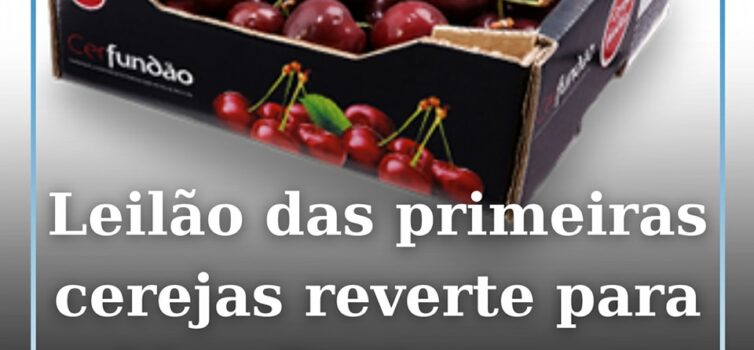Cereja do Fundão vai a leilão dia 20 maio