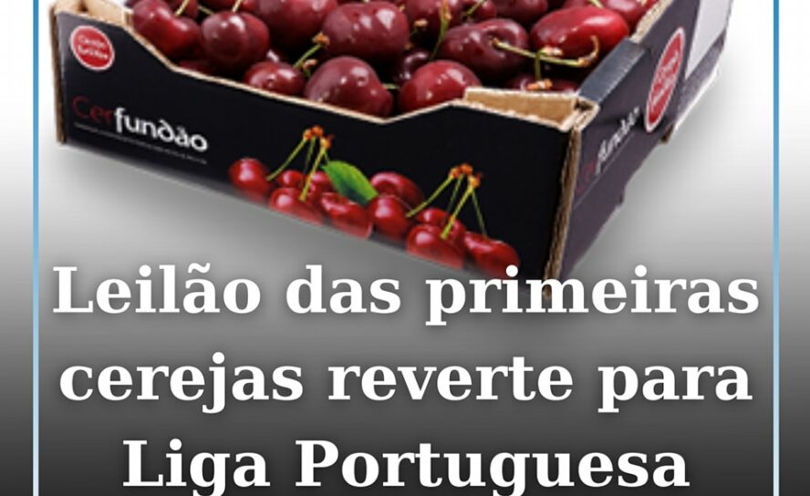 Cereja do Fundão vai a leilão dia 20 maio