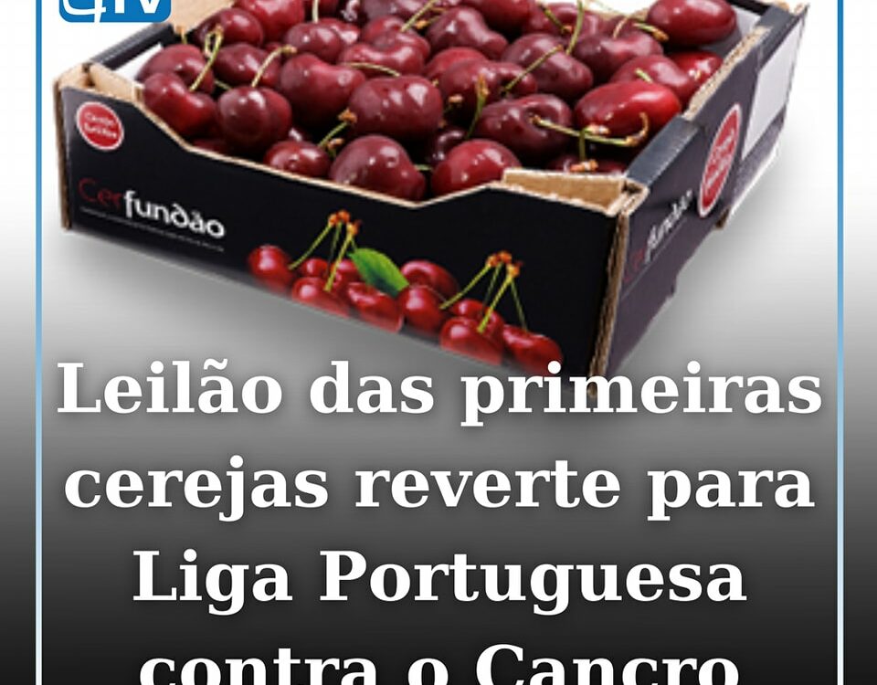 Cereja do Fundão vai a leilão dia 20 maio