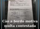 Condutor multado em viagem para a Covilhã contesta atuação policial
