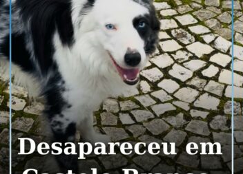 Desapareceu em Castelo Branco
