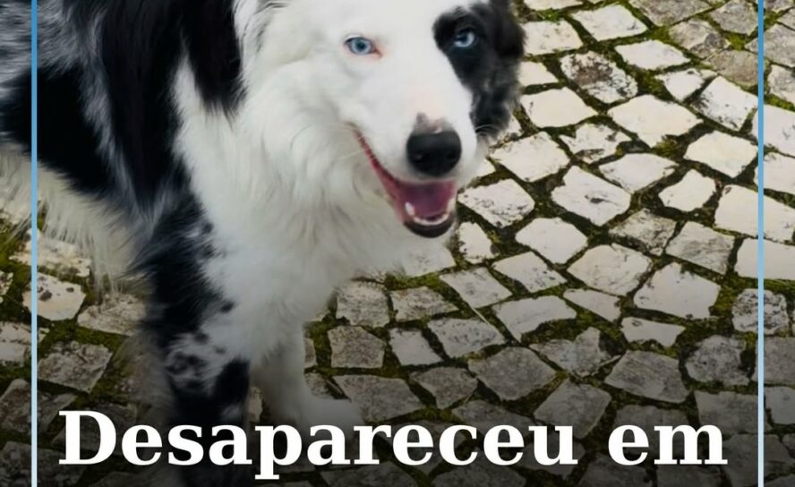 Desapareceu em Castelo Branco