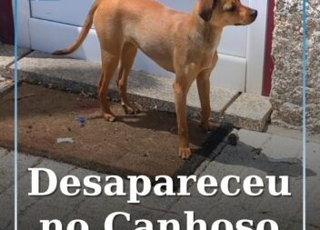 Desapareceu no Canhoso